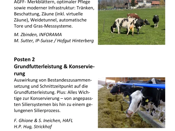 Flyer Seite 2