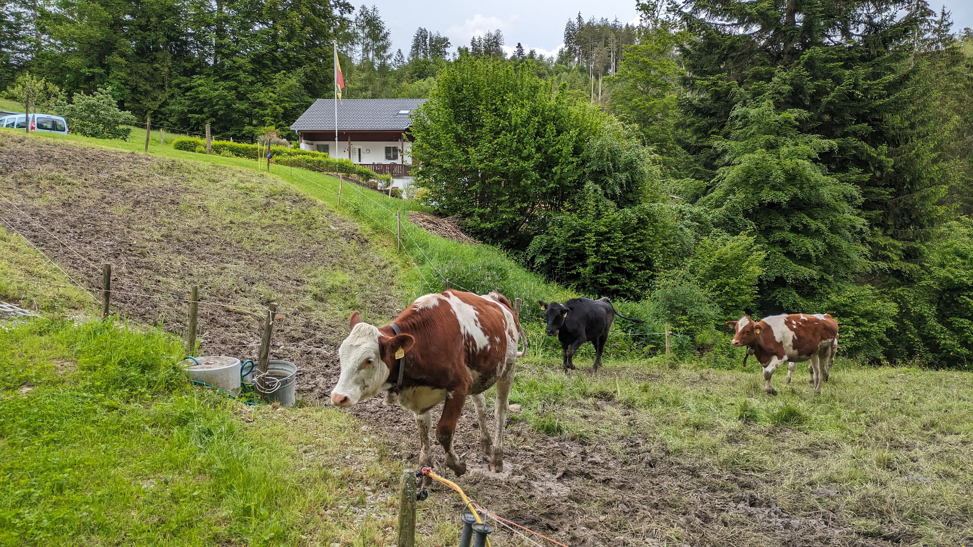 Weideeingänge und Zugangswege
