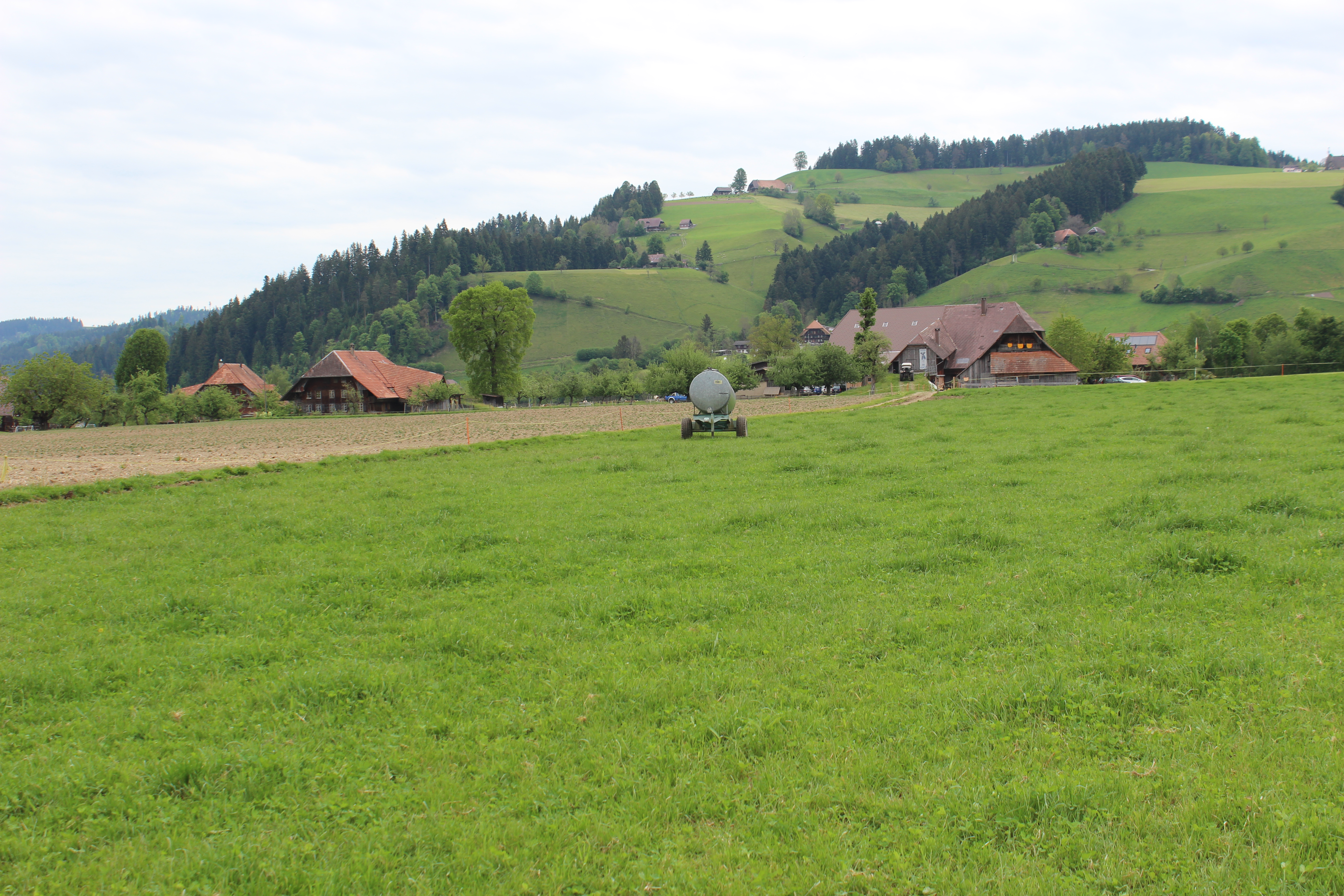 Weideeingänge