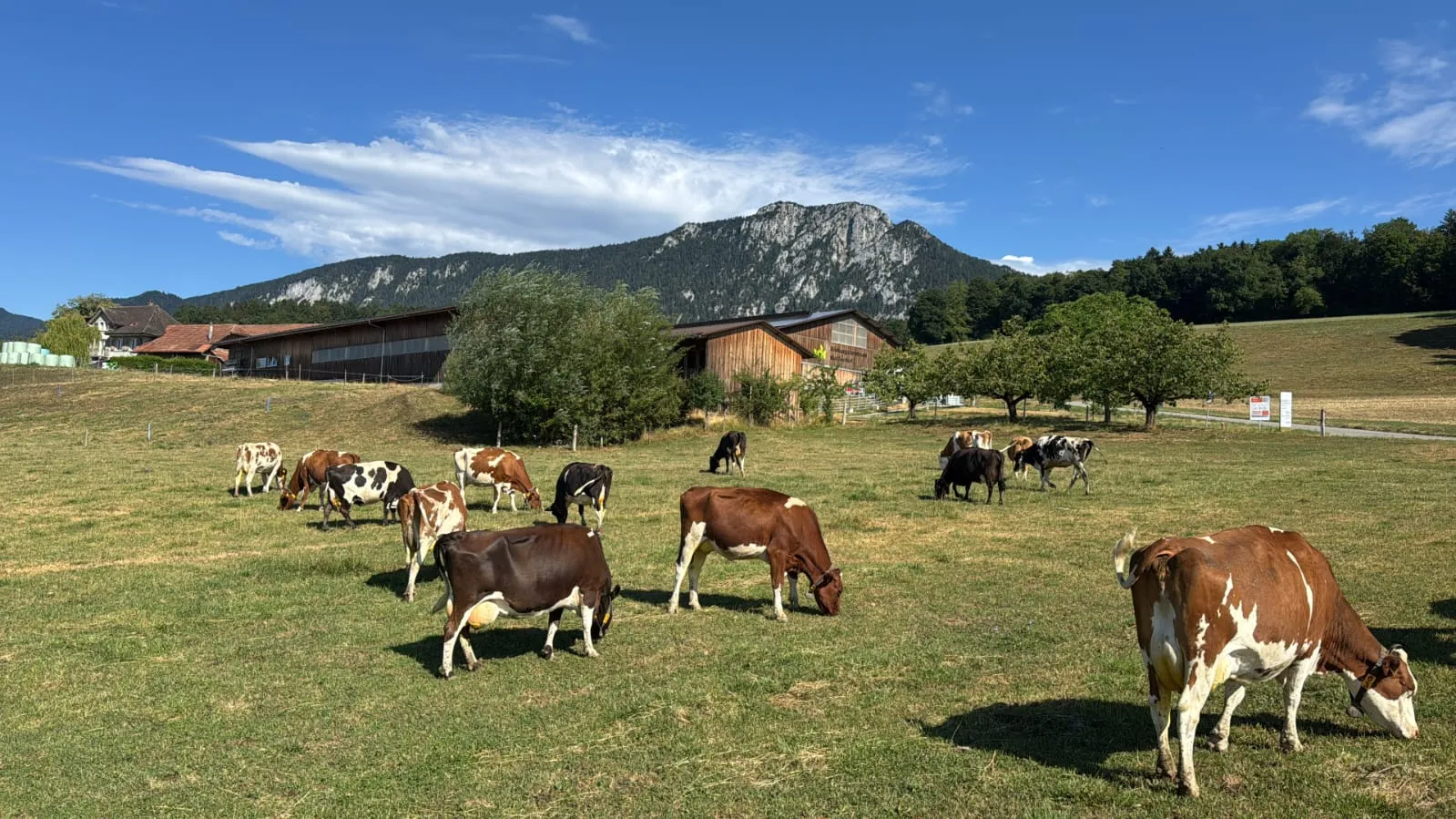 AGFF-Mittellandtagung Wallierhof 27. August 2026